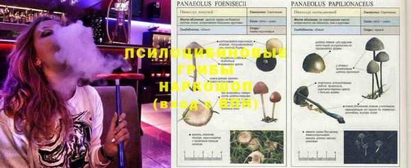 марки nbome Абинск