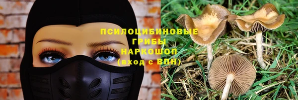 соль курить ск Алексеевка